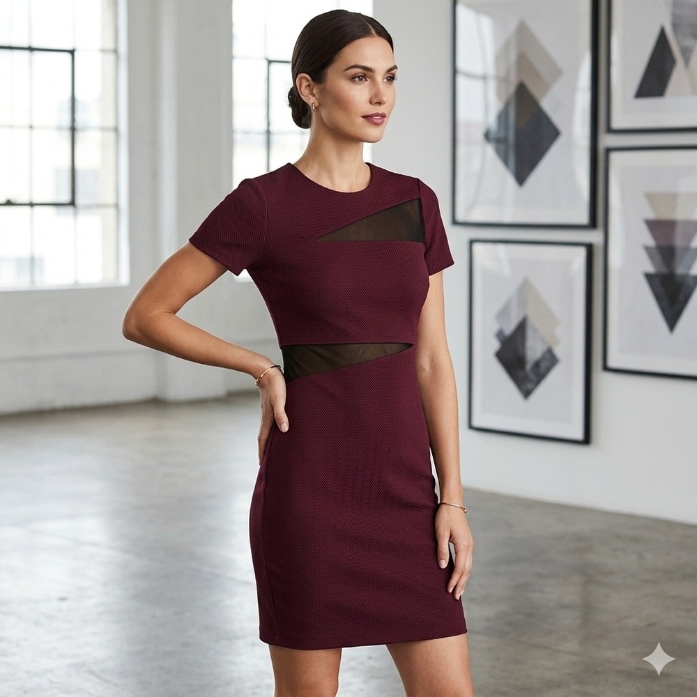 Express‎ Women's 4 Burgundy Textured Bodycon Sheath Dress Mesh Cutout Mini